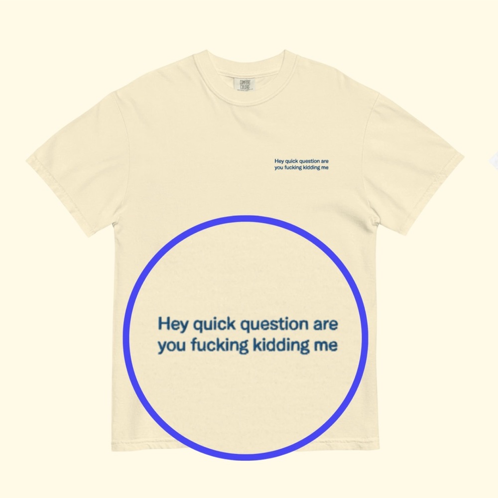 “Hey quick question” Graphic Tee (Unisex)